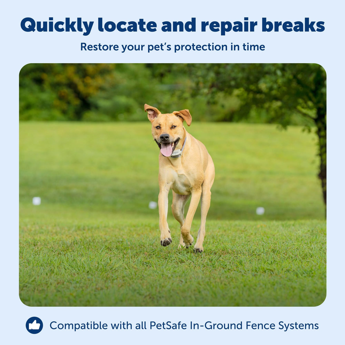 PetSafe Wire Break Locator for In-Ground Pet Fence Systems