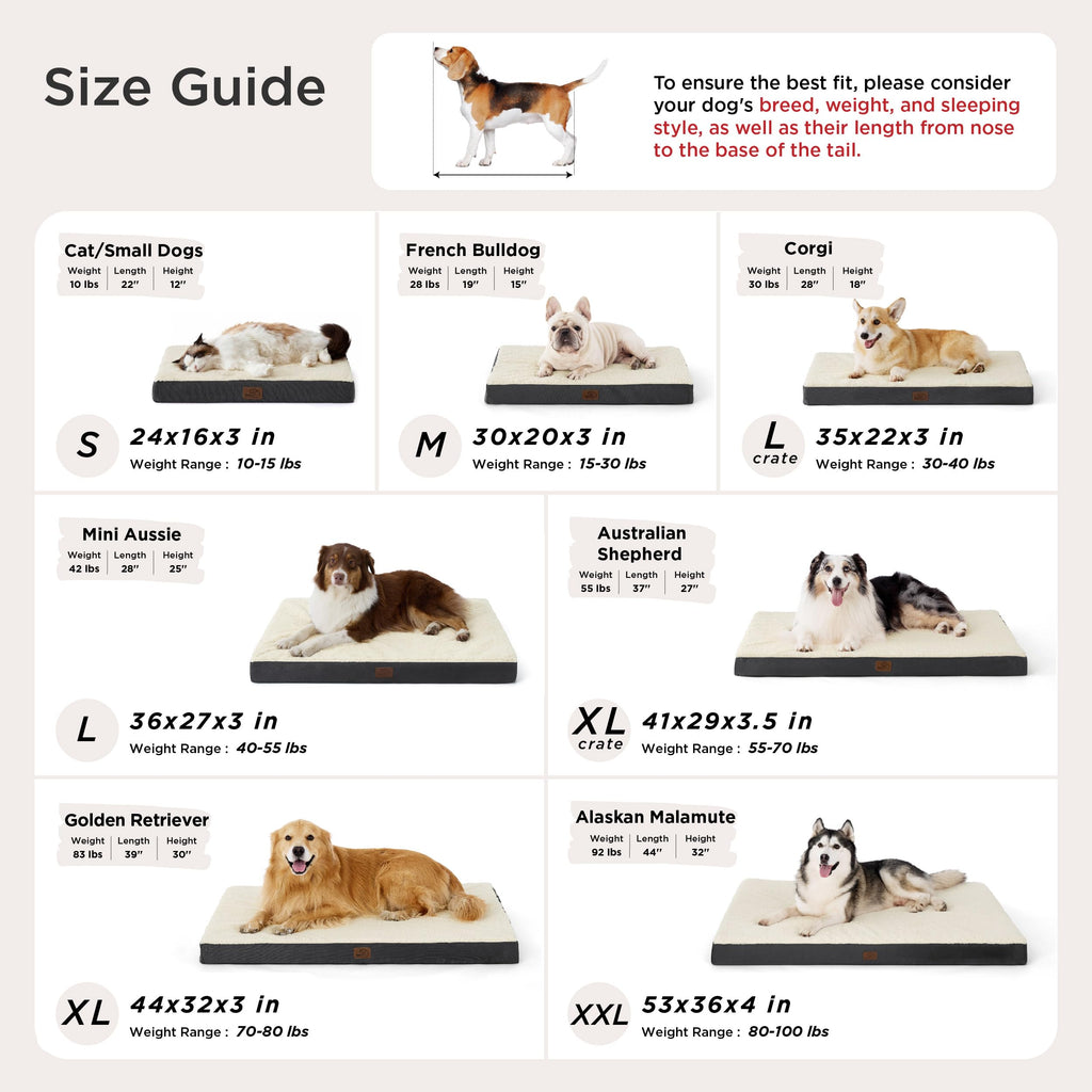 Bedsure Washable Dog Beds Large Sized Dog with Comfy Sherpa, 36x27in Grey