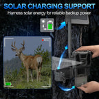 Artman 2-Pack Rechargeable New Reveal Lithium Battery Pack for Trail Camera