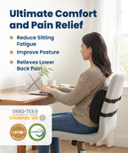 Everlasting Comfort The Original Lumbar Support Pillow for Office Chair - Improves Posture, Promotes Back Pain Relief - Superior Back Support for