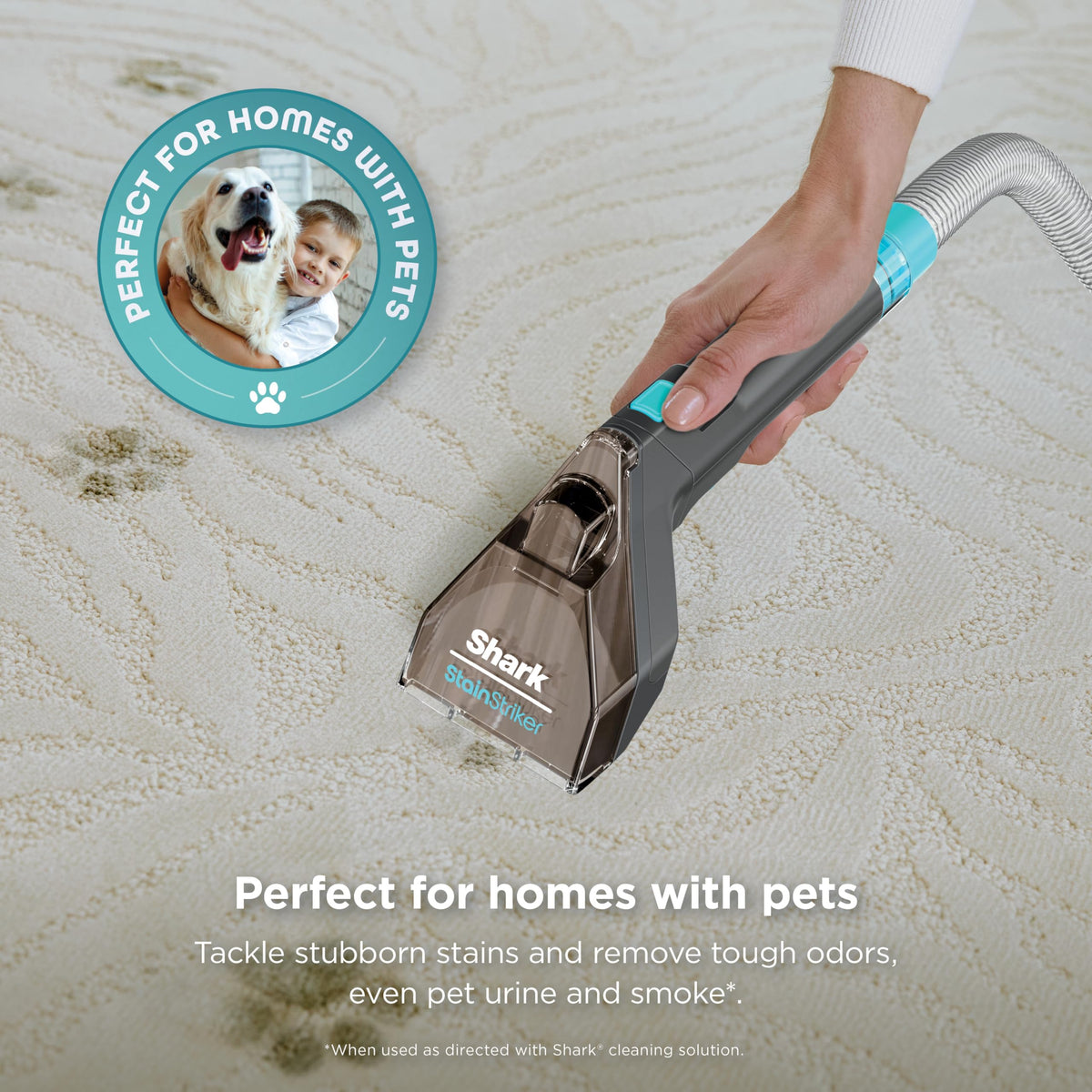 Shark StainStriker Portable Spot & Stain Cleaner, 2 Tools, PX221BRN