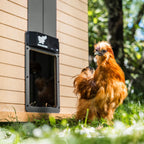 RUN-CHICKEN Door T50 – Automatic Chicken Coop Door Opener, Battery Powered & Weatherproof Aluminum, Smart App & Timer Control, Predator Proof, Easy