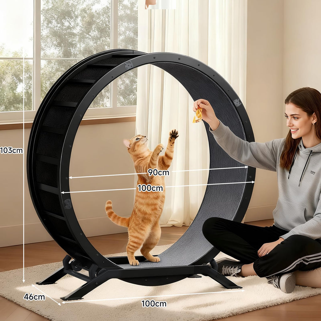 GTPLAYER Cat Wheels, 40" Diameter, Large Cat Exercise Wheel for Indoor Cats cat Treadmill Metal with Detachable Carpet & Teaser/Stickers, Ultra-Quiet