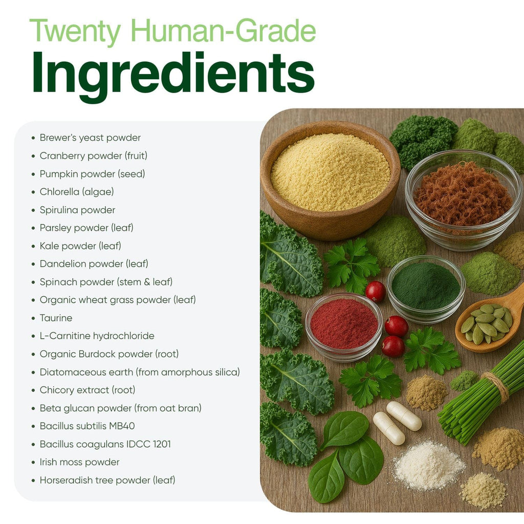 Human-Grade Superfood for Dogs, Premium Greens Powder Supplement for Dental Health, Longevity, Hip & Joint, Gut Health, Allergies, Immune Support