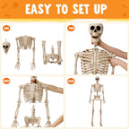 JOYIN 5 FT Halloween Skeleton Life Size, Stayable Posable Skeleton Decor, Full Body Movable Joints Giant Skeletons for Halloween Decoration Outdoor