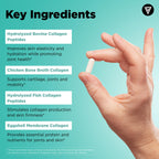 Vital Vitamins Multi Collagen Peptides Complex for Women & Men, 2-Pack