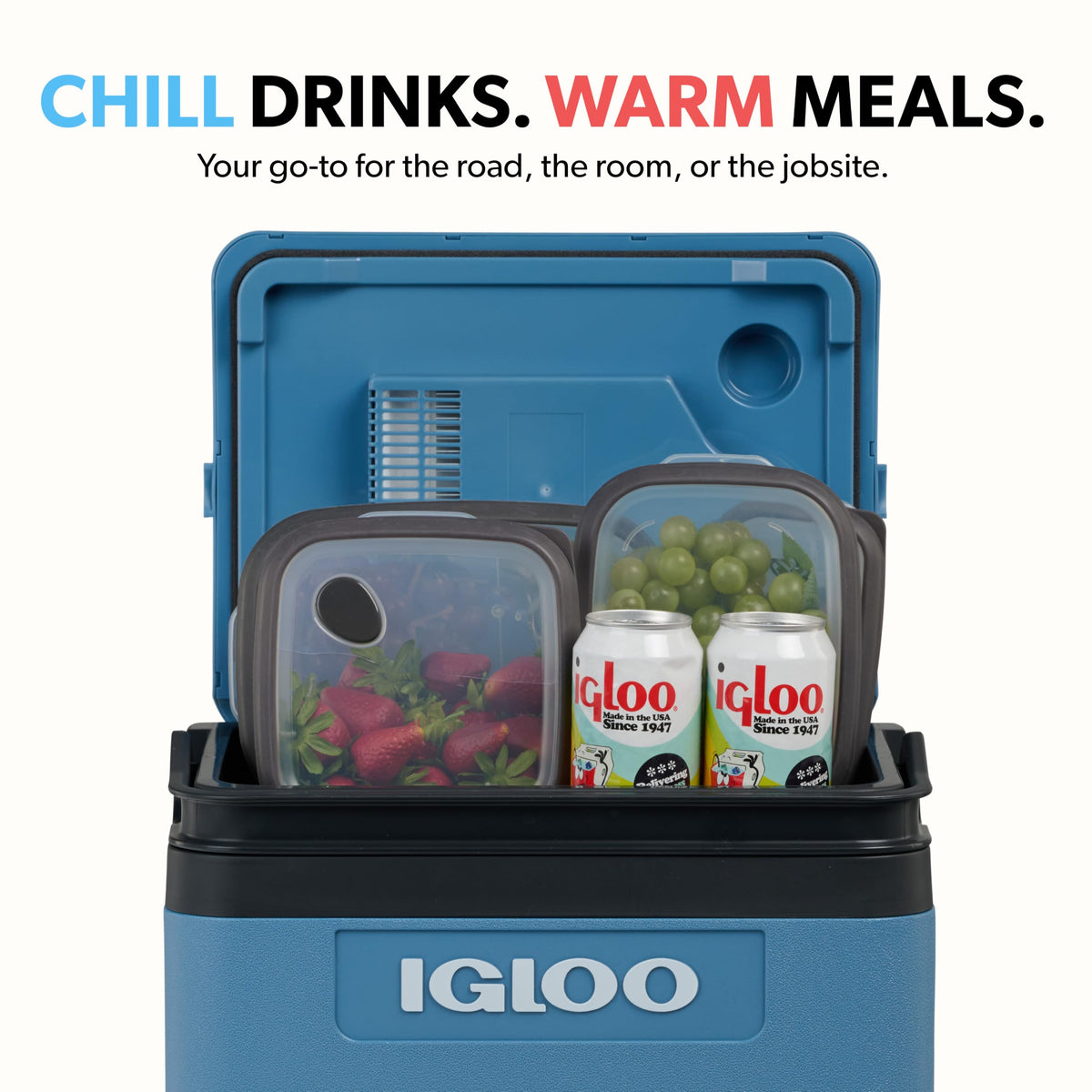 Igloo Thermoelectric Cooler & Warmer | 12V Portable Cooler for Truck, RV, Car & Home