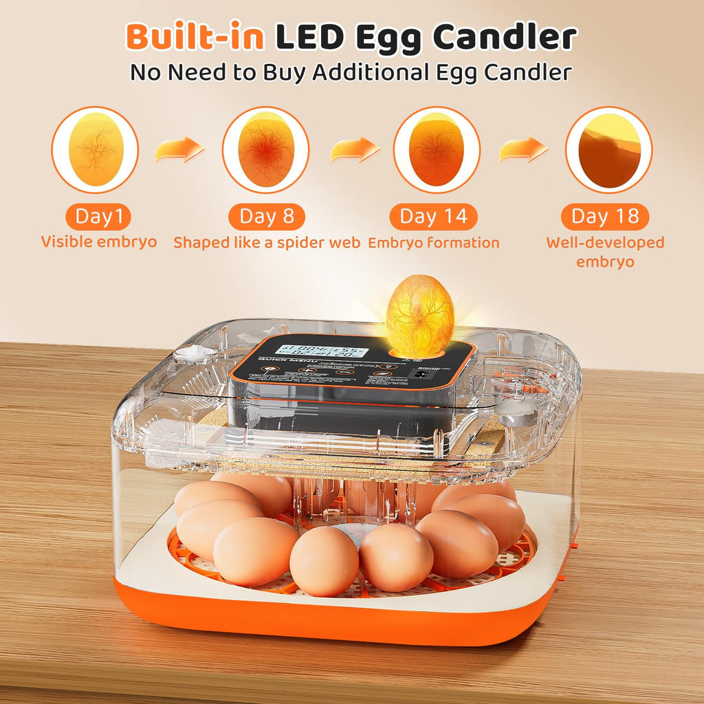 Egg Incubator for Hatching Eggs, 12 Egg Capacity, One-Touch Smart Hatching