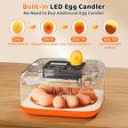 Egg Incubator for Hatching Eggs, 12 Egg Capacity, One-Touch Smart Hatching