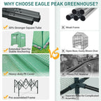 EAGLE PEAK 6x4 Easy Setup Small Pop Up Greenhouse, Clear/Green