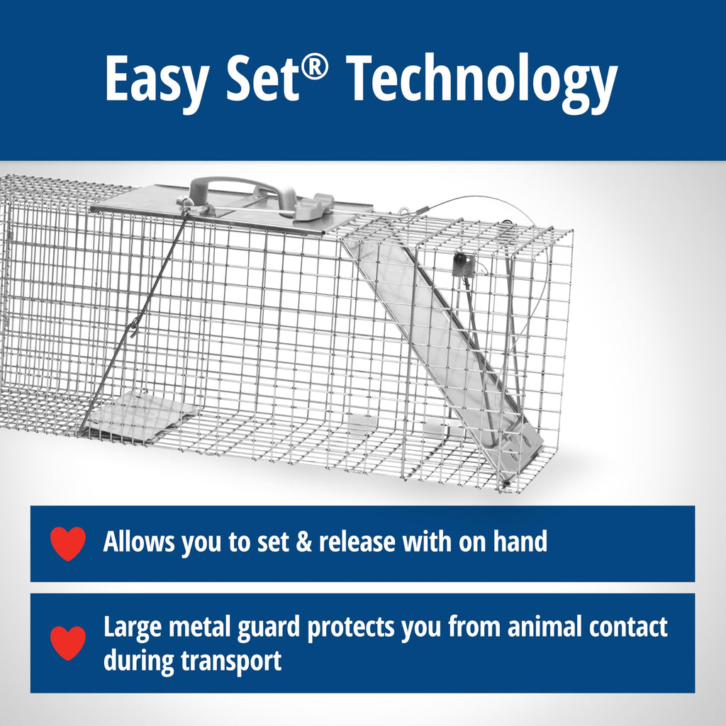 Havahart 1085 Large 1-Door Easy Set Humane Live Animal Trap for Armadillos, Cats, Groundhogs, Muskrats, Opossums, Raccoons, Skunks - Havahart Live