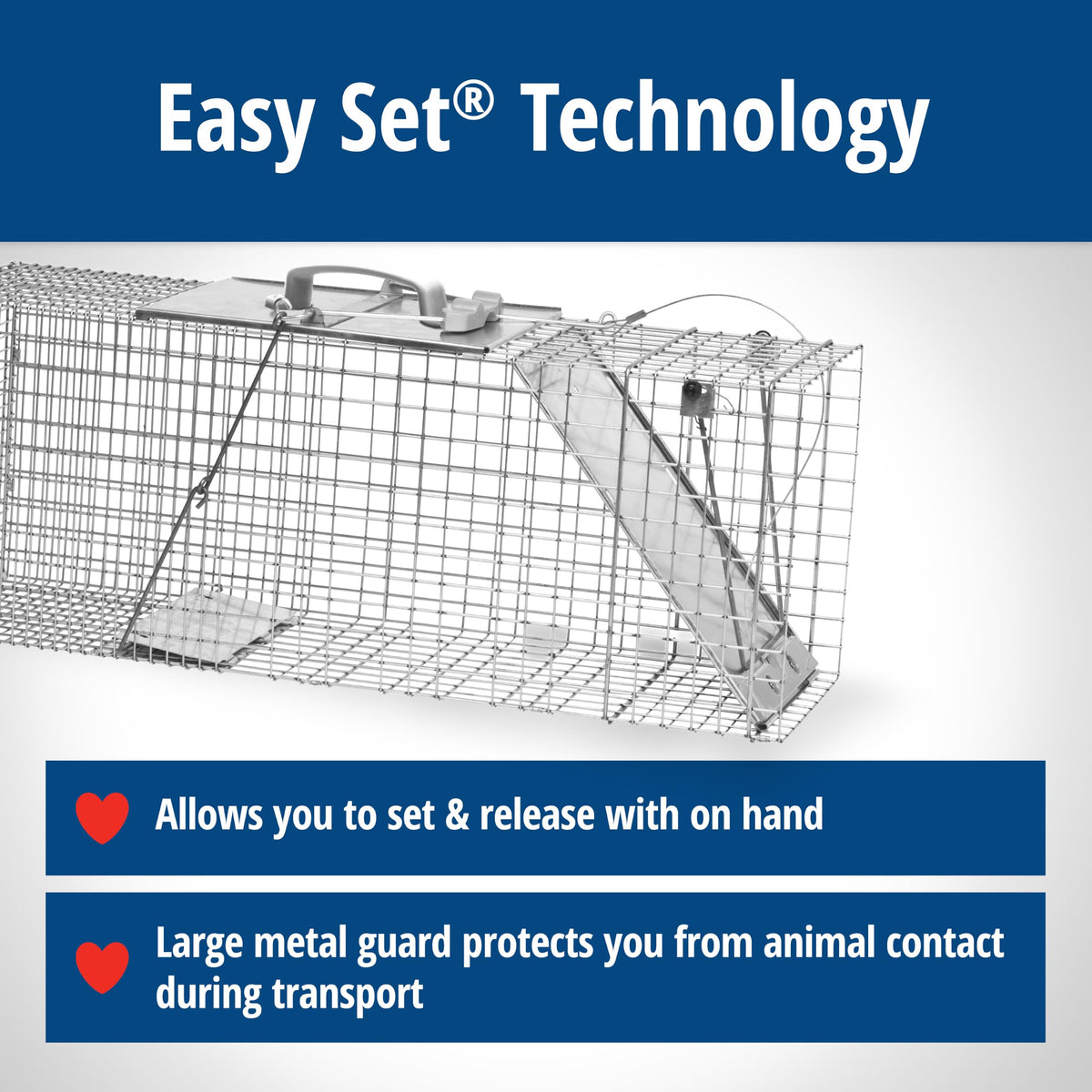 Havahart 1085 Large 1-Door Easy Set Humane Live Animal Trap for Armadillos, Cats, Groundhogs, Muskrats, Opossums, Raccoons, Skunks - Havahart Live