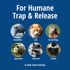 Havahart 1085 Large 1-Door Easy Set Humane Live Animal Trap for Armadillos, Cats, Groundhogs, Muskrats, Opossums, Raccoons, Skunks - Havahart Live