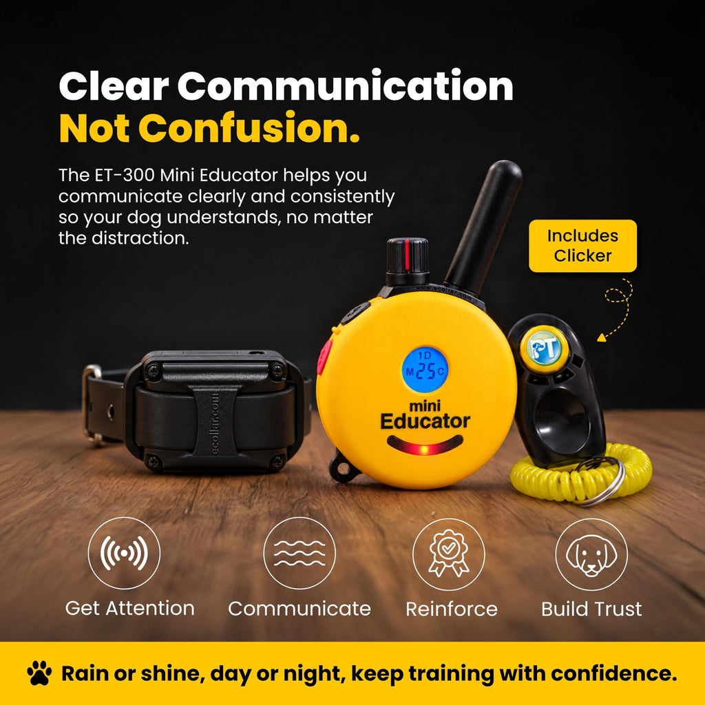 Educator ET-300 Mini E Collar for Dog Training with Remote - 1/2 Mile Range, Waterproof, 100 Blunt Stimulation Levels, Tone or Vibration Mode, Night