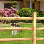 Black PVC Coated Welded Wire Fence 24" x 50' Roll, 2"x3" Mesh, 16 Gauge