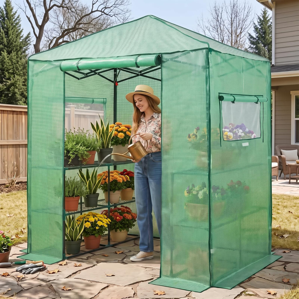 EAGLE PEAK 6x4 Easy Setup Small Pop Up Greenhouse, Clear/Green