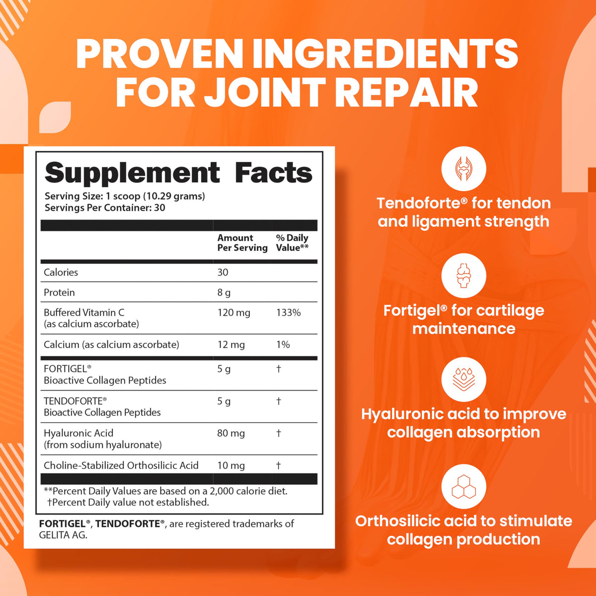 SaltWrap Collagen Synthesis Peptides for Joint and Tendon Recovery