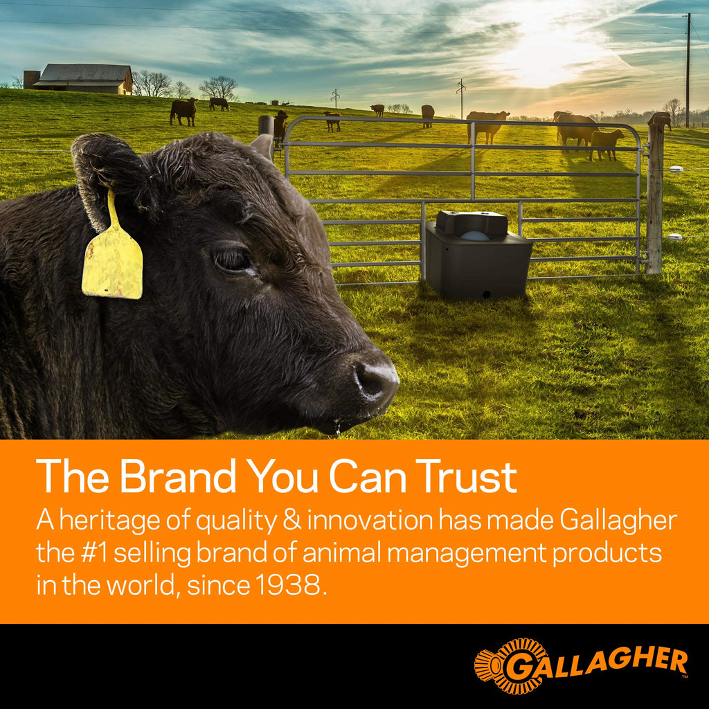 Gallagher 1/16" Electric Fence Polywire for Livestock, 1640ft Roll