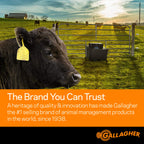 Gallagher 1/16" Electric Fence Polywire for Livestock, 1640ft Roll