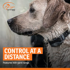 SportDOG FieldTrainer 425X Remote Trainer, 500-Yard Range, Waterproof