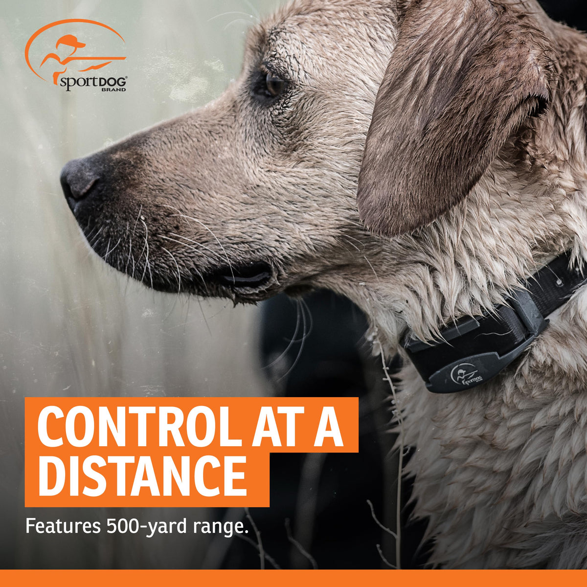 SportDOG FieldTrainer 425X Remote Trainer, 500-Yard Range, Waterproof