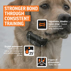 SportDOG FieldTrainer 425X Remote Trainer, 500-Yard Range, Waterproof