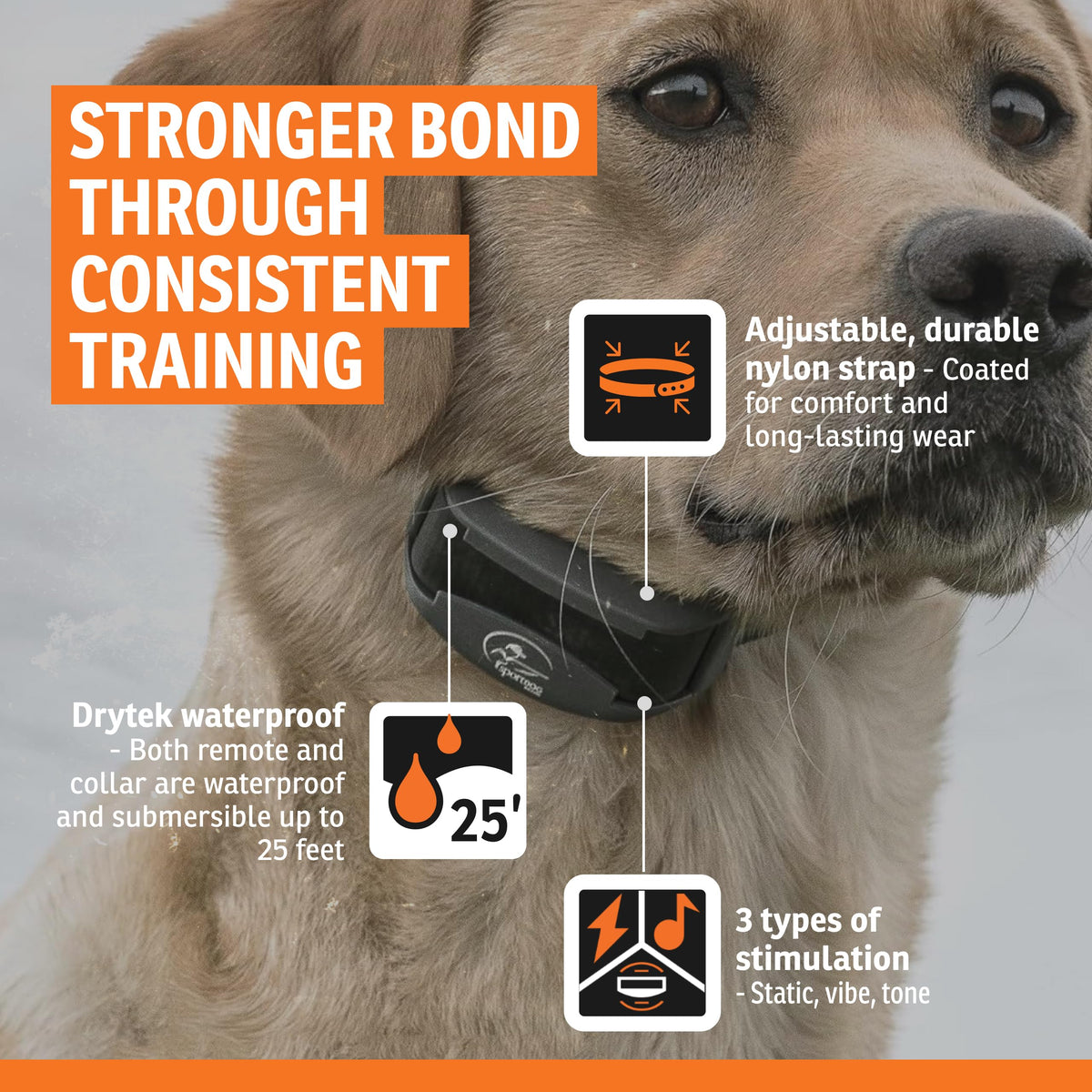 SportDOG FieldTrainer 425X Remote Trainer, 500-Yard Range, Waterproof