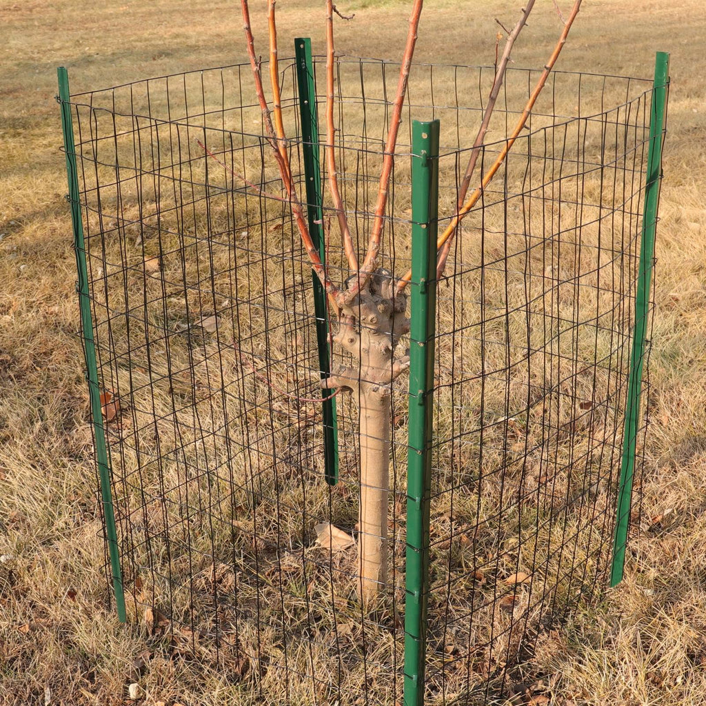 Black PVC Coated Welded Wire Fence 24" x 50' Roll, 2"x3" Mesh, 16 Gauge