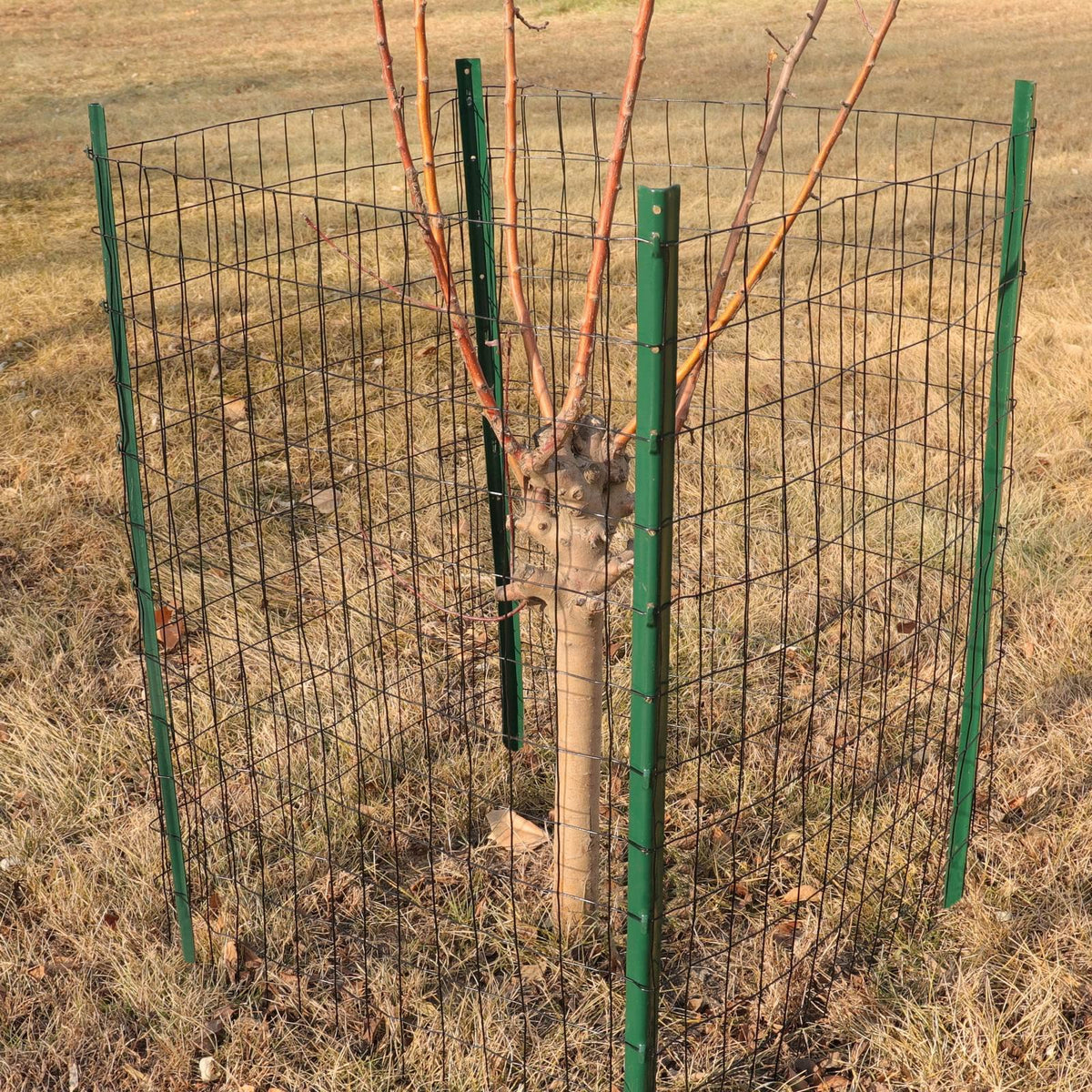 Black PVC Coated Welded Wire Fence 24" x 50' Roll, 2"x3" Mesh, 16 Gauge