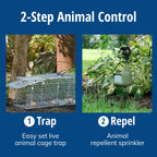 Havahart 1085 Large 1-Door Easy Set Humane Live Animal Trap for Armadillos, Cats, Groundhogs, Muskrats, Opossums, Raccoons, Skunks - Havahart Live