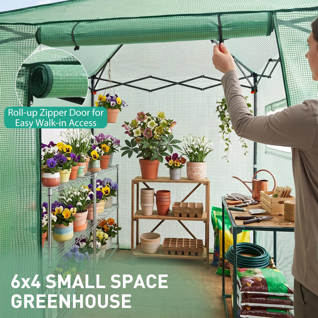 EAGLE PEAK 6x4 Easy Setup Small Pop Up Greenhouse, Clear/Green