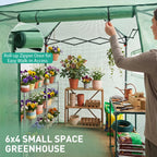 EAGLE PEAK 6x4 Easy Setup Small Pop Up Greenhouse, Clear/Green