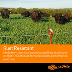 Gallagher 1/16" Electric Fence Polywire for Livestock, 1640ft Roll