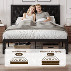 Lifezone Bed Frame with Upholstered Headboard, Queen, Metal Support, No Box Spring Needed, Modern Black