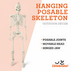 Hanging Posable Skeleton Decoration, White, 5', Halloween by Way To Celebrate