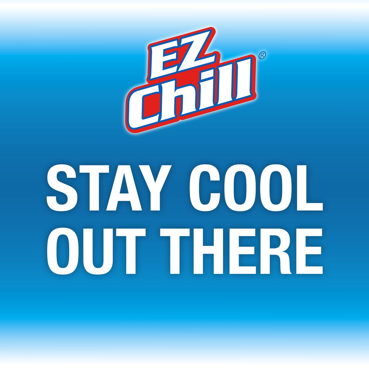 EZ Chill Car A/C Recharge Kit with Reusable R-134a Gauge and Hose