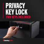 SentrySafe HD4100 Fire & Water Resistant File Document Safe with Key Lock, 0.65 cu ft, Charcoal Gray