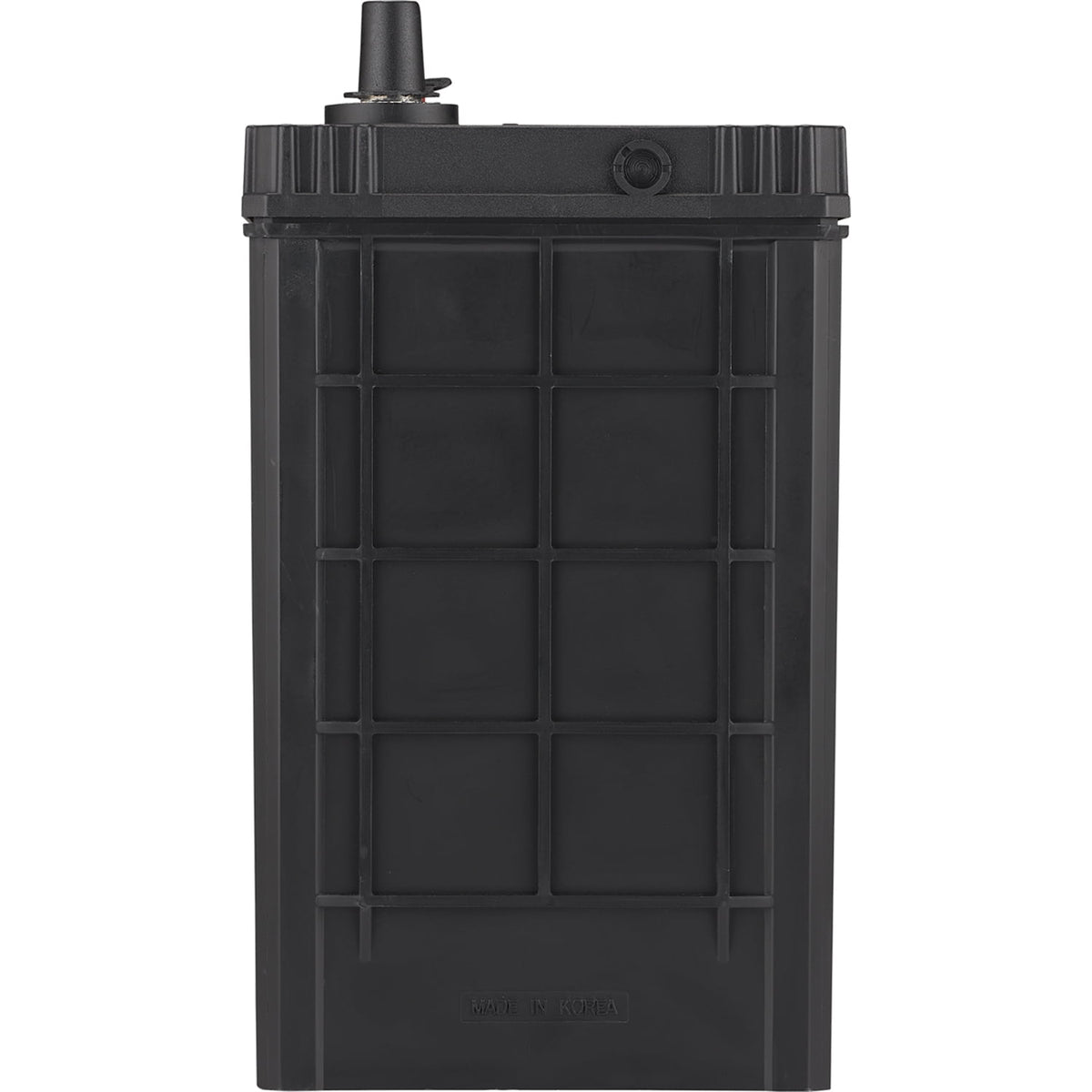 EverStart Platinum AGM Automotive Battery, Group Size S46B24R 12 Volt, minimum 325 CCA