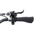 DWMEIGI Silverado 20 Foldable Fat Tire Electric Trike 48V/14AH 750W, 330LBS - MG2301