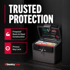 SentrySafe HD4100 Fire & Water Resistant File Document Safe with Key Lock, 0.65 cu ft, Charcoal Gray