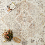 FEELHOME 5'x7' Area Rug Machine Washable Soft Vintage Distressed Non Slip Carpet for Living Room Bedroom Dining Room Taupe