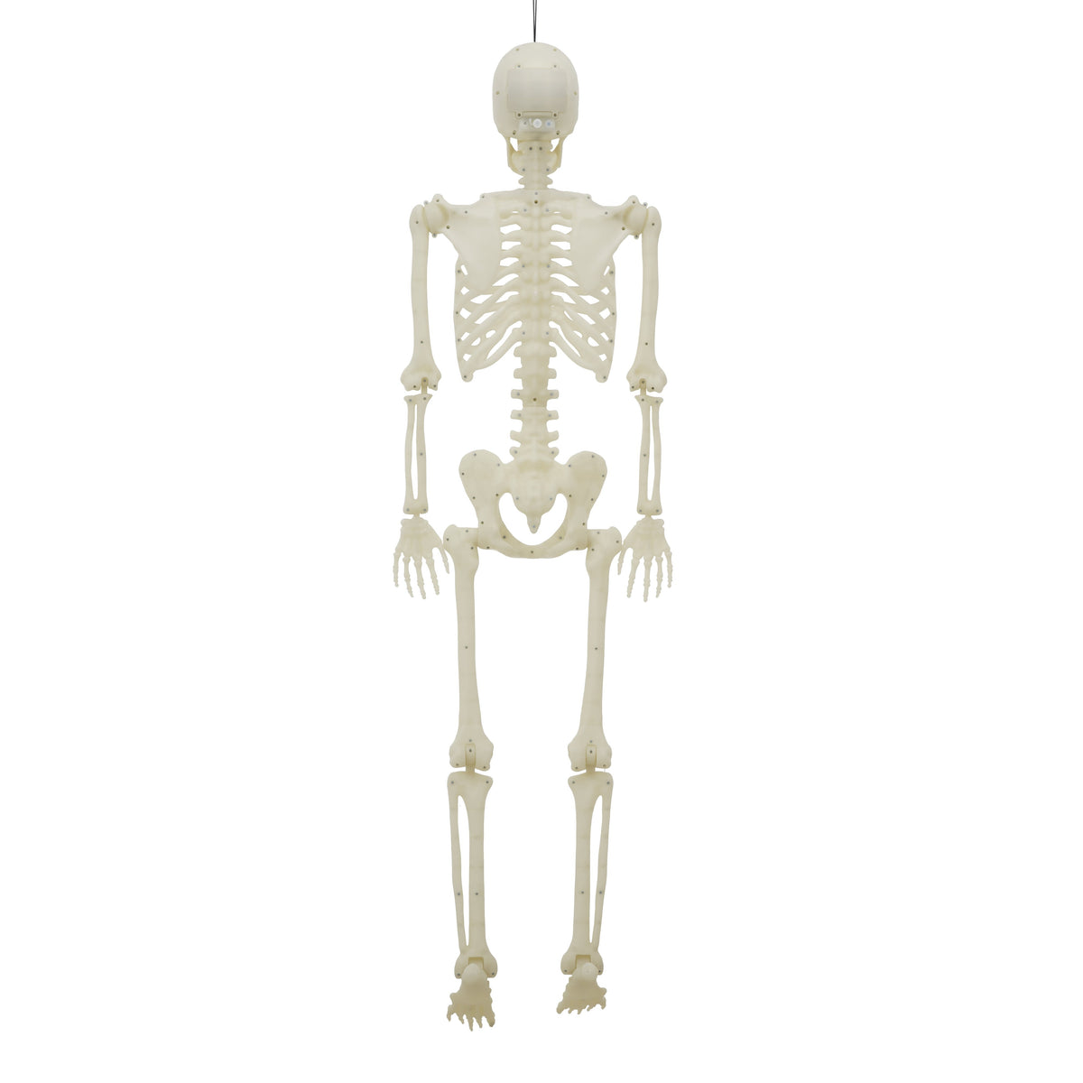 Light-Up LED Poseable Skeleton, Multicolor, 5', Halloween by Way To Celebrate