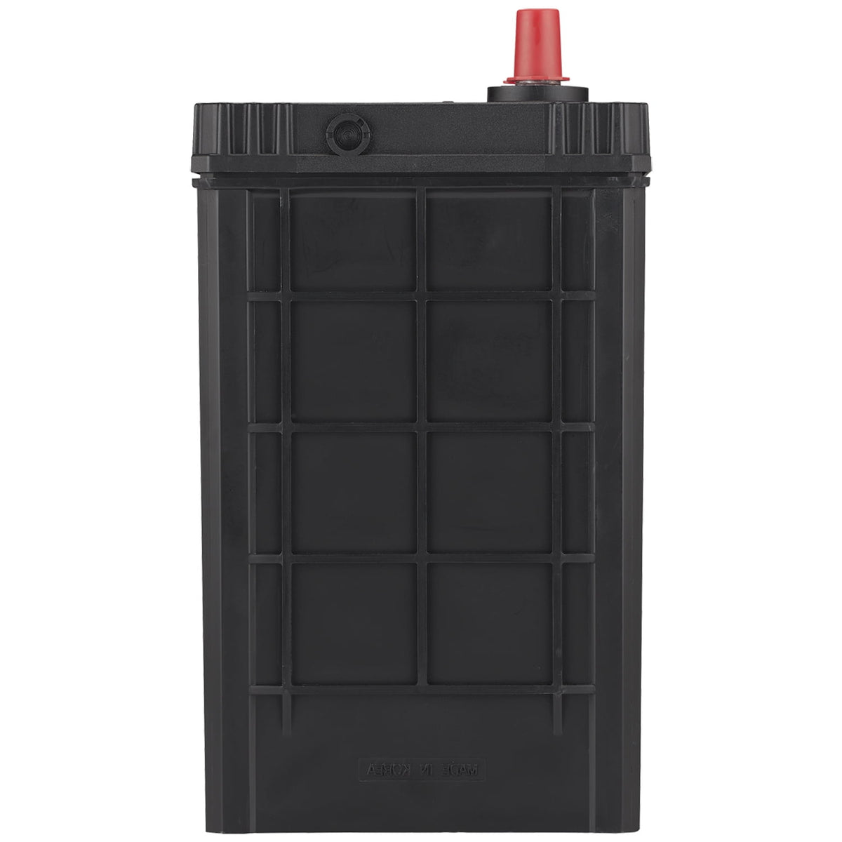 EverStart Platinum AGM Automotive Battery, Group Size S46B24R 12 Volt, minimum 325 CCA
