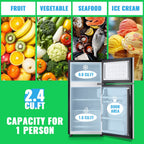 DEMULLER 2.4 Cu.ft Mini Refrigerator Small Fridge with Freezer Dual Door Fridge New Silver