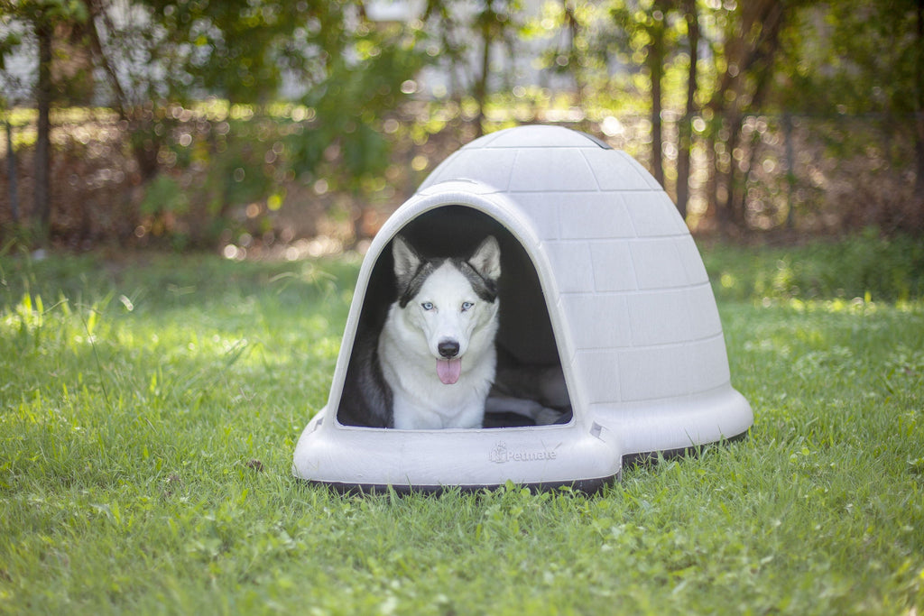Petmate Indigo All-Weather Portable Medium Plastic Outdoor Igloo Dog House, 37.5"L For Dogs 20 to 50 lb, Taupe & Black